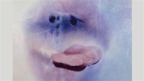 hot mature ladies|Sex positivity after 70: Marilyn Minter’s sensual photographs of .